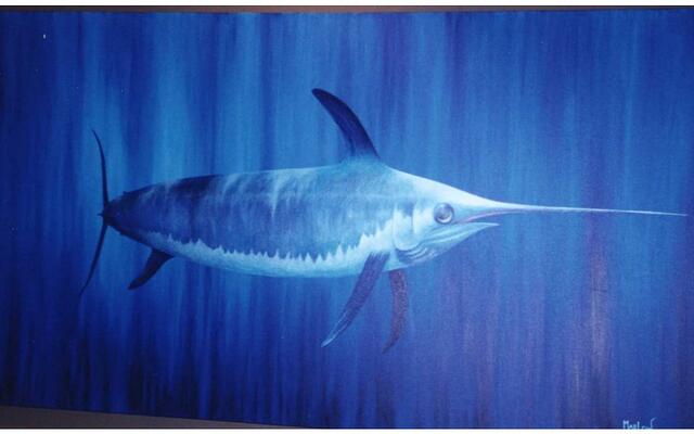 Swordfish